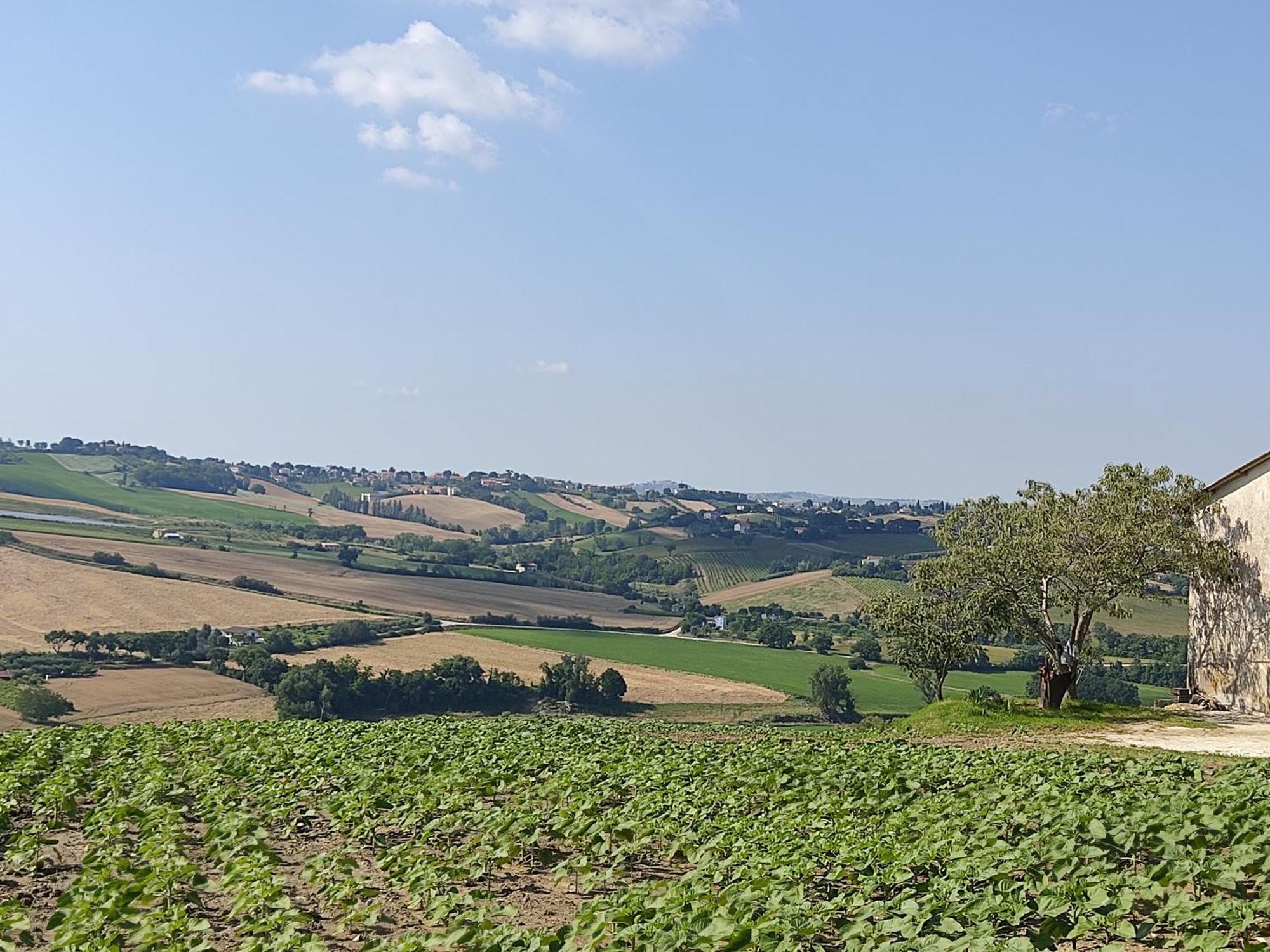 Casa Borgo Fonte Villa Castelleone di Suasa Luaran gambar