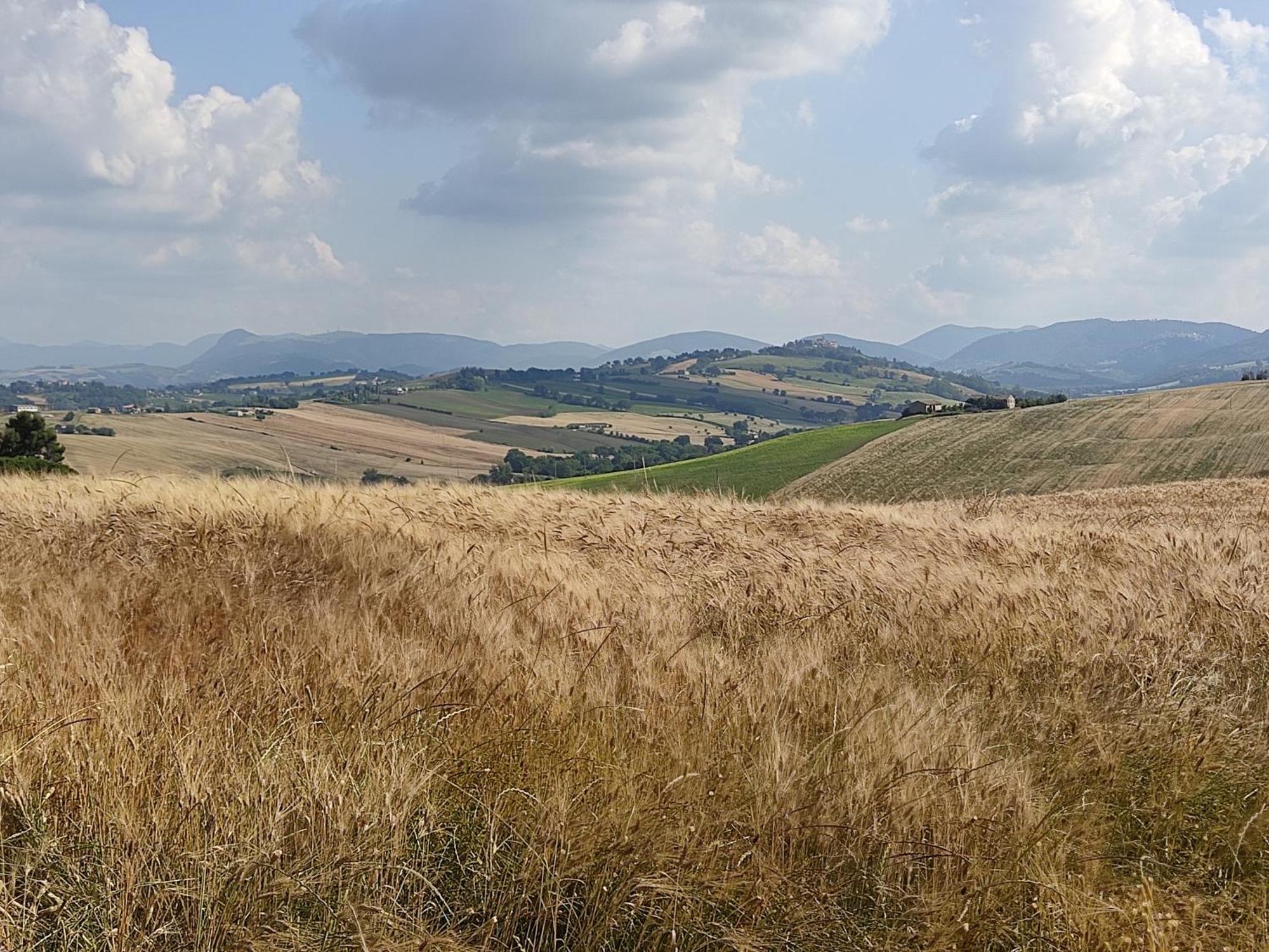 Casa Borgo Fonte Villa Castelleone di Suasa Luaran gambar